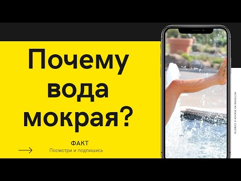 Почему вода мокрая?