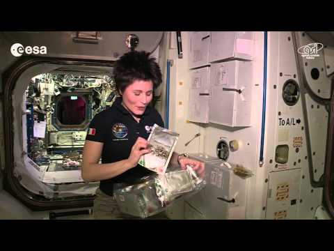 Getting Proper Nutrition From Space Food | ISS Video