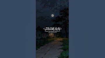 #اكتب_شي_تؤجر_عليه ﴿يا أيها الذين آمنوا لا تتبعوا خطوات الشيطان .. ﴾ سورة النور #تلاوات