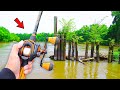 Searching for GIANT Bass in Backwater Creeks (River Fishing)