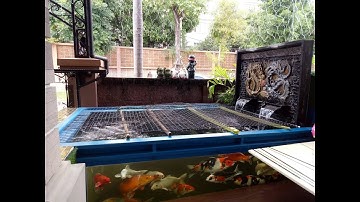 เต้ Super Car - ดูหน้างาน Overflow ตู้ปลา 72" + อ่างเลี้ยงปลาคาร์พ ที่บ้านพี่เต้ ซอยวัดกำแพง