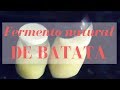 COMO FAZER FERMENTO NATURAL DE BATATA