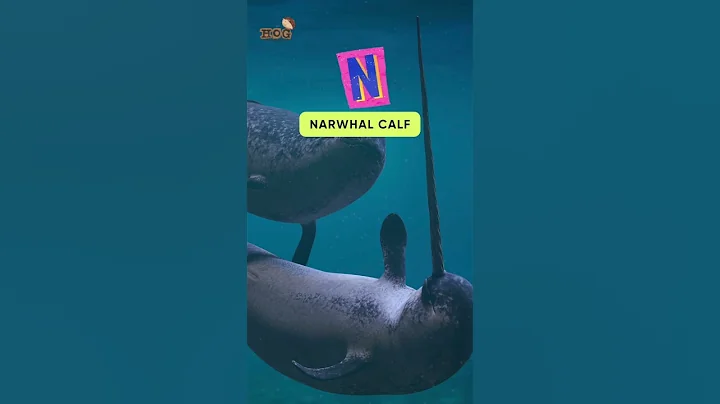 ABC Baby Sea Animals Song | Letter MNOP | Learn #alphabet  #english  and #animals for Kids