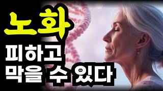 노화를 막고 수명을 늘리는 가장쉬운 비법