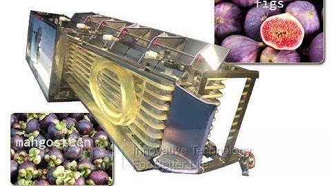 Fruit Size Sorting Machine|Tomato Cherry Berry Grading Machine