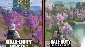 Codm Chinese vs Codm Global in depth comparison | New stuff in Chinese version