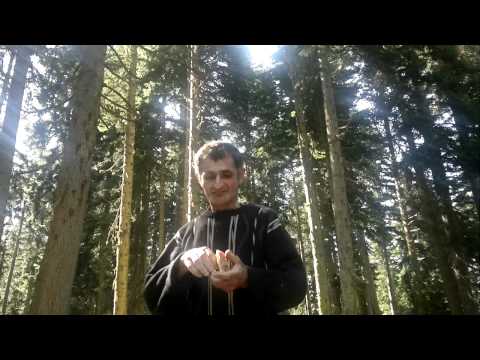 ბეშუმის ლეგენდა იოსკა