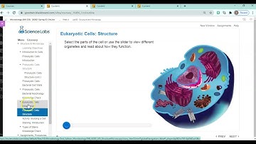 Lab Practical I Overview and Best Practices