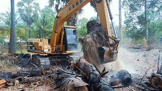 Land excavation to plant AX CAT 312B # 2025