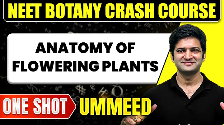 ANATOMY OF FLOWERING PLANTS in 1 Shot: All Concepts, Tricks & PYQs | NEET Crash Course | Ummeed