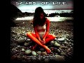 Scars of life  pool of fears