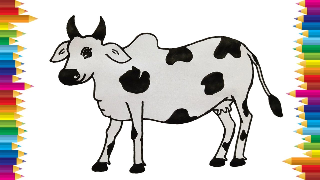 Cow Sketch