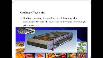 Harvesting,Cleaning,Sorting,Grading, and Packaging of seeds Part-II- Commercial Vegetable Production