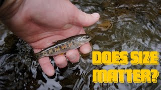 DOES SIZE MATTER? | Fly Fishing on a Small Oregon Creek for Wild Cutthroat Trout