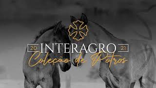 RABBIATA INTERAGRO (vendida/sold)
