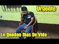 🔴URGENTE LE QUEDAN DIAS DE VIDA| Que Esta Pasando?