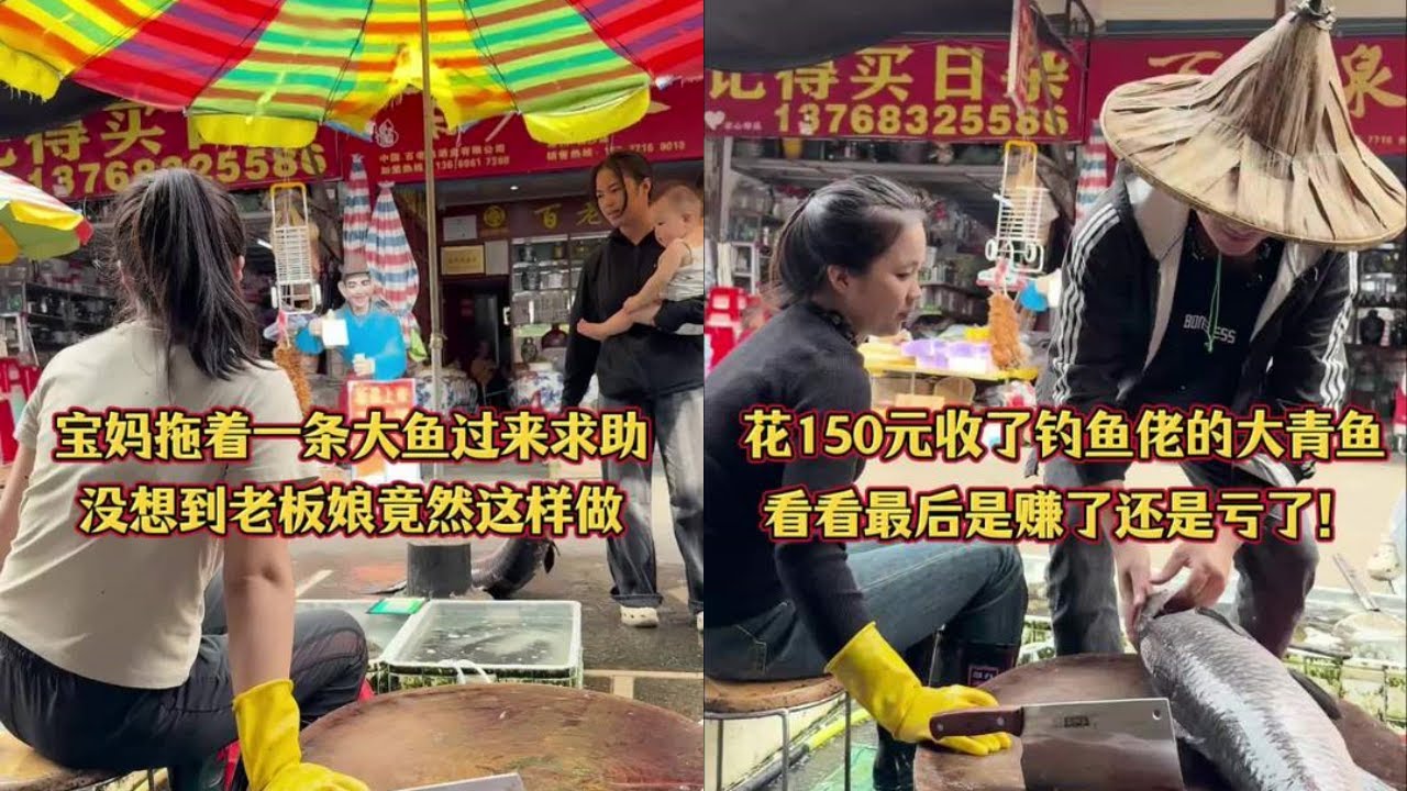 宝妈拖着一条大青鱼过来求助，没想到老板娘竟这样做！｜花150元收了钓鱼佬的大青鱼，看看最后是赚了还是亏了？