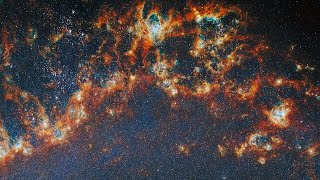 Pan Video M51