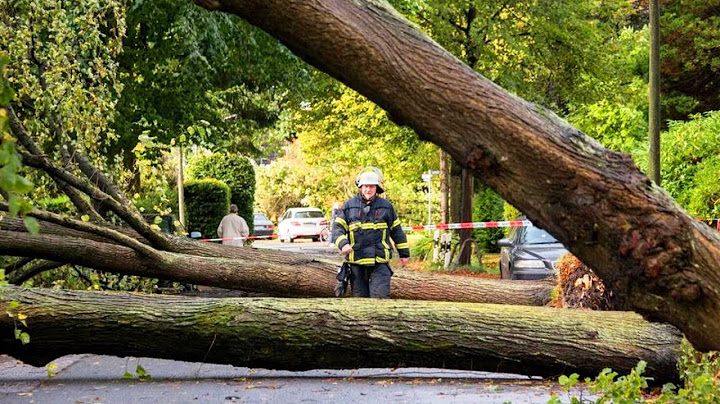 Severe storm hits Germany: Berlin heavily damaged