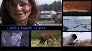 Documentary Films | Planet Earth Part 7 Great Plains 1/3