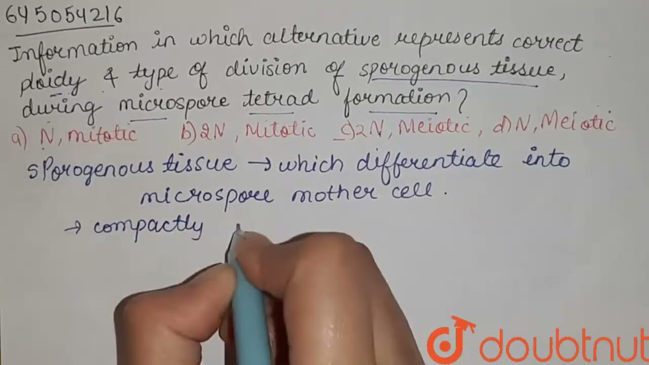 The information in which alternative represents the correct ploidy and type of division of sporo...