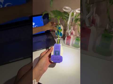 أفكار توزيعات اليوم الوطني السعودي 95 اليوم الوطني السعودي 95 اليوم الوطني السعودي عزنا بطبعنا