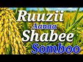 Aaga Badhaadhinaa Milkaa Noota Inisheetiivii Misooma Ruuzii Godina Jimmaa Aanaa Shabee Sombootti 