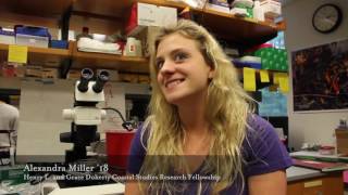Famous The lab of Patsy Dickinson: Students learn about central pattern generators Profile
