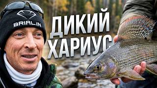 Рыбалка на горной реке осенью. Неожиданный улов и осенний трофей. #1
