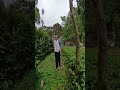 Video de Pluma Hidalgo
