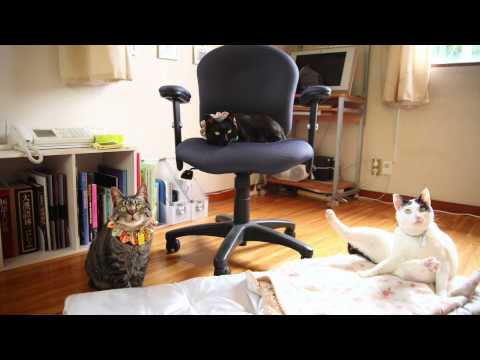 Butterflyカラオケボックスで猛練習