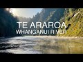 Te Araroa 13: Whanganui River