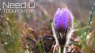 Need U - Tobu (Oki Edit)