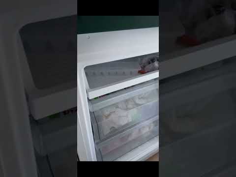 Холодильник с морозильной камерой Whirlpool WHC18 T311