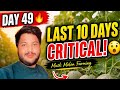 “Day 49… 60 days journey lo most critical phase 🔥”
