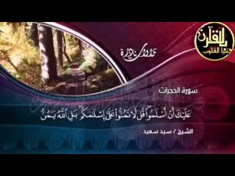أجمل تلاوه ممكن تسمعها لسورتي الحجرات وق للشيخ سيد السعيد