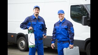Insight Mobile Data for Pest Control