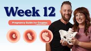 12 Weeks Pregnant - Tips for Couples | Week By Week Pregnancy Guide