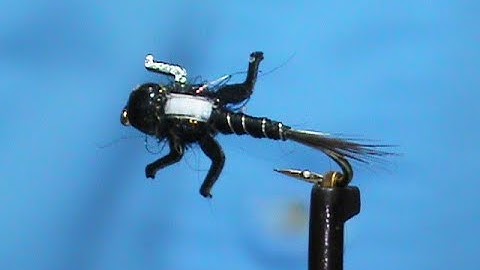 Fly Tying a LivelyLegz Zebra Nymph with Jim Misiura