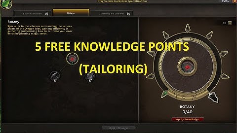 5 Free Tailoring Knowledge Points! Talk to Elysa Raywinder!