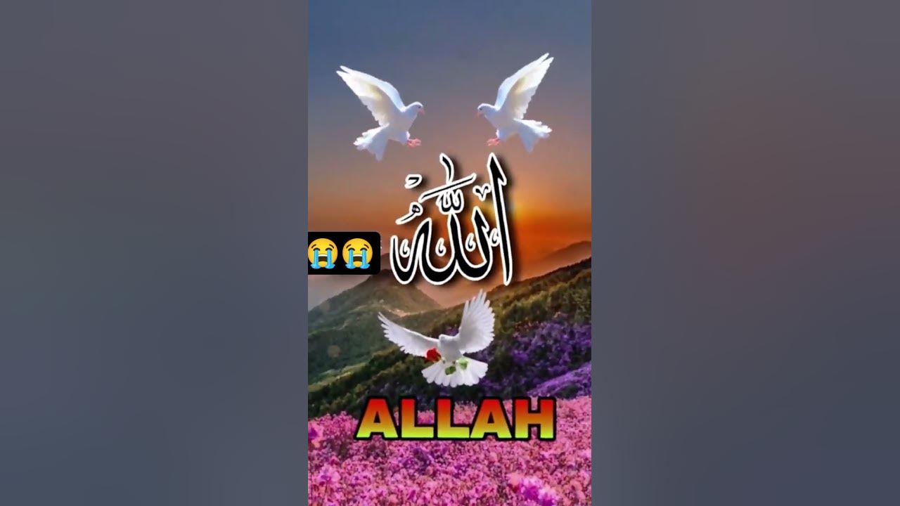 dekhte-hain-comment-mein-pahle-kaun-allah-likhta-hai-youtube