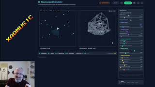 NeuroLiquid - A Spiking Liquid Neural Network Simulator
