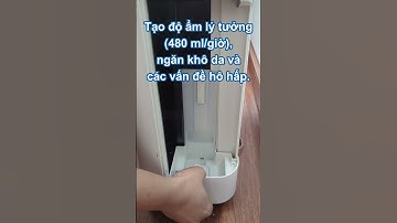 Máy Lọc Không Khí Sharp KC-G40-W: Đa Năng Lọc Sạch & Tạo Ẩm Hiệu Quả