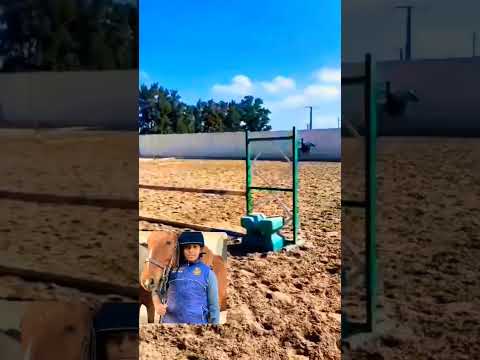 أفضل قفز على الحواجز الجزء الأول 1