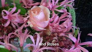 #7 Free 2 minute flower arranging lesson: A European Technique