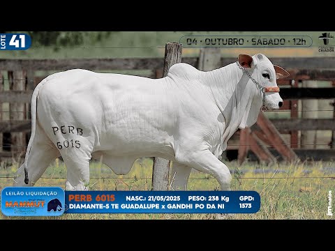 LOTE 41   PERB 6015