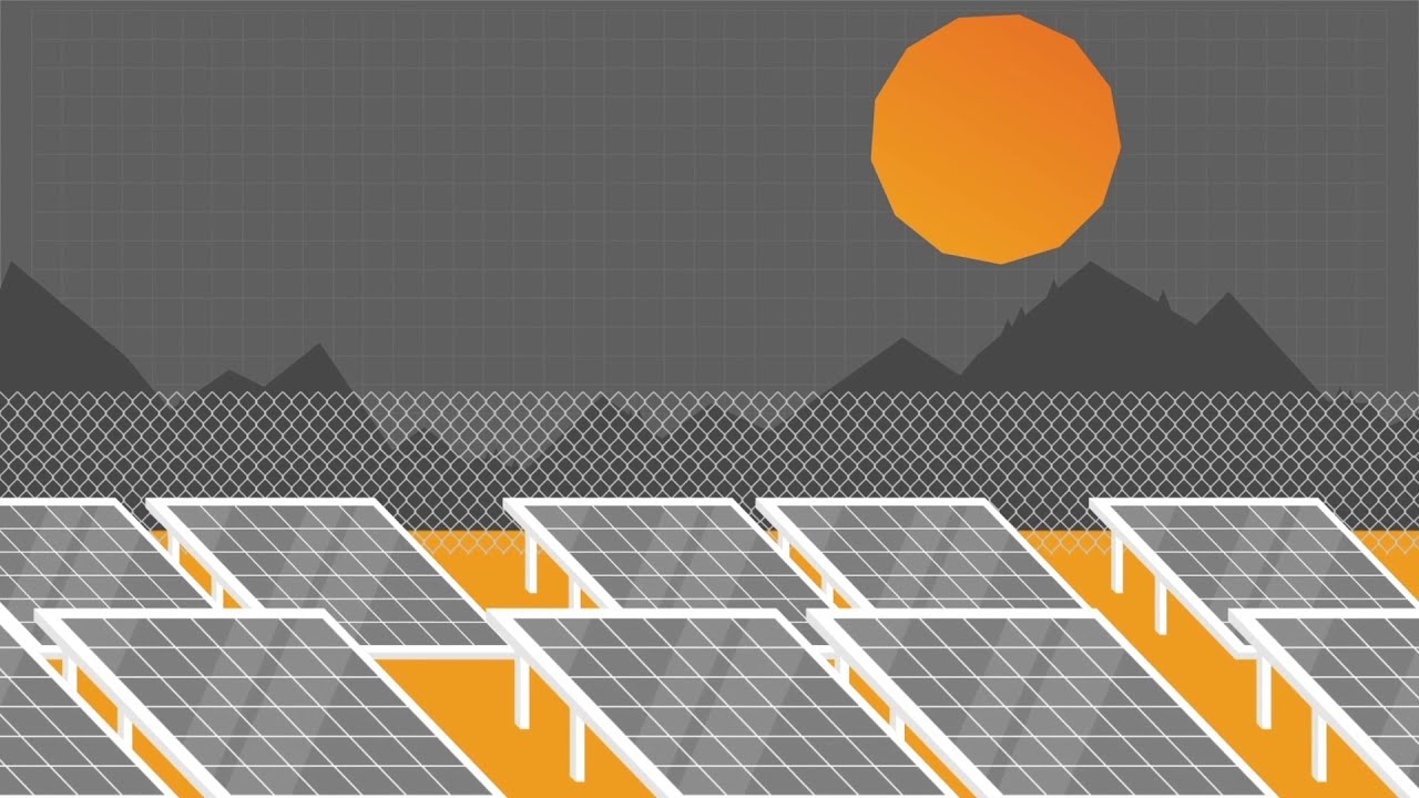 Vidico x Raptor Maps — App Animation