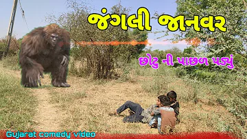 છોટુ ની પાછળ પડ્યું જંગલી જાનવર chotu comedy video Gujarati surapura bothers group v2021