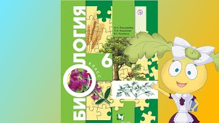 Биология, 6 кл., § 14 "Воздушное питание растений- фотосинтез"