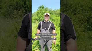 Коп в упраздненной деревне Чаадаевка #хобби #искатель #разговорноевидео #поиск #заброшеннаядеревня